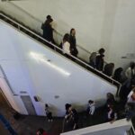 Salidas Temáticas